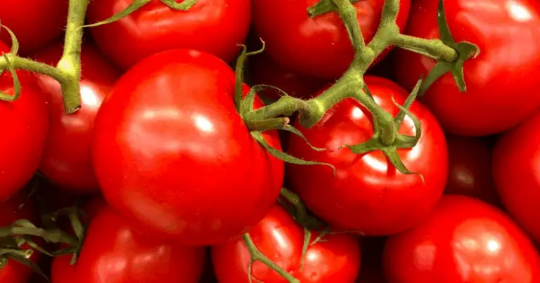 🍅 Bucce di patata: il segreto naturale per pomodori sani e abbondanti