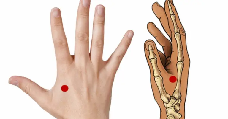 🌿 Punti di digitopressione per ridurre stress e ansia