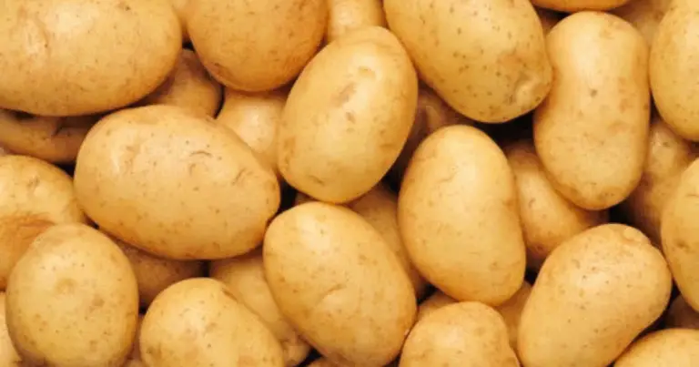 Coltivare Patate in Casa: Trasforma una Sola Patata in un Raccolto Abbondante 🥔🌱