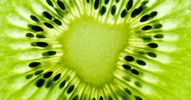 🥝 Come coltivare una pianta di kiwi a casa: dalla germinazione al raccolto