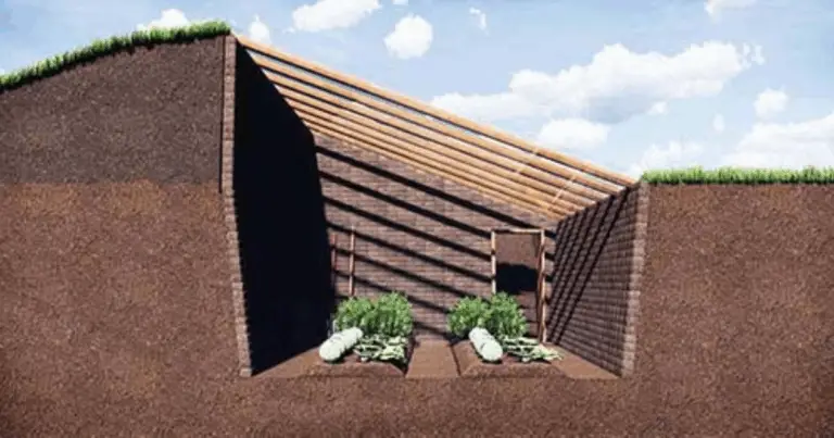 🌱 Serra sotterranea: coltivare in modo sostenibile tutto l’anno