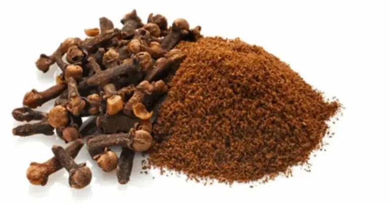 🌿 Benefici dei Chiodi di Garofano: Un Tesoro della Natura per Salute e Benessere