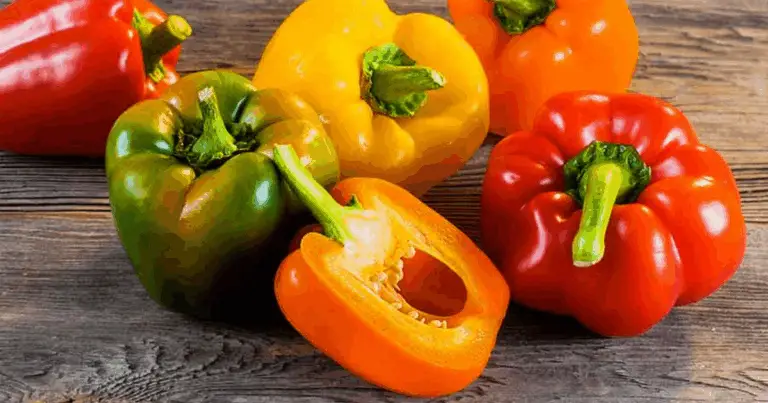 Coltivare peperoni nelle bottiglie di plastica riciclate 🌱🍅