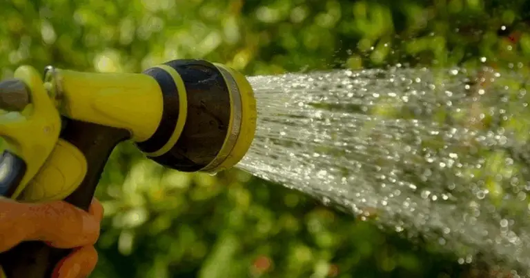 Irrigazione profonda delle radici con tubi in PVC 💧🌳