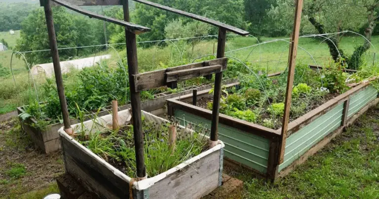 🌱 Orto in Contenitore Auto-Irrigante: Guida Completa alla Coltivazione Sostenibile 🌱