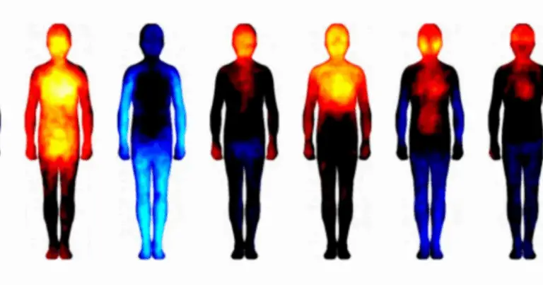 Emozioni e Organi: il legame nascosto che influenza la nostra salute 🌿💫