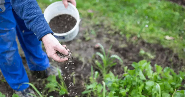 Fertilizzanti naturali per piante da interno: la guida definitiva per un verde sano e sostenibile 🌱🏡