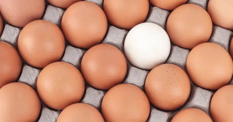 Uova Bianche e Uova Marroni 🥚 Differenze, Valori Nutrizionali e Scelte Consapevoli