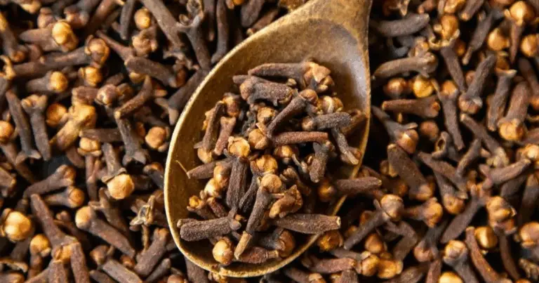 Masticare chiodi di garofano: il rimedio naturale che sorprende per i suoi benefici