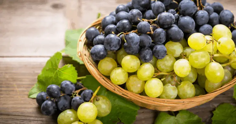 Benefici dell’Uva: Rossa, Verde e Nera