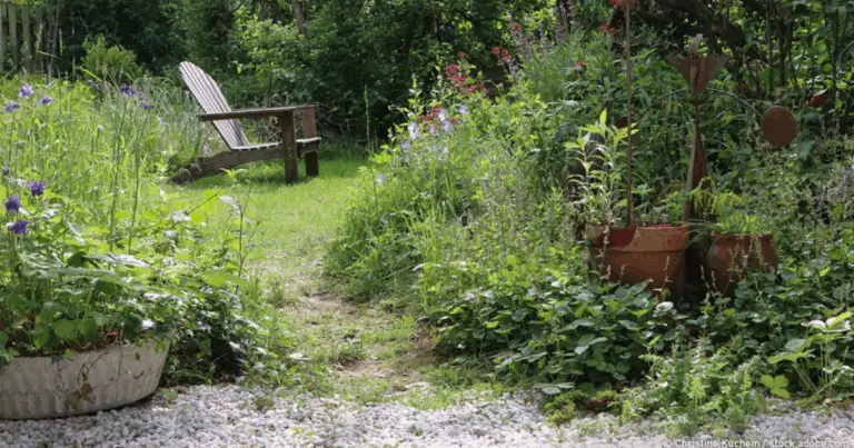 🌿 Creare un Giardino Sostenibile con Piante Autoctone: Un’Iniziativa per la Biodiversità