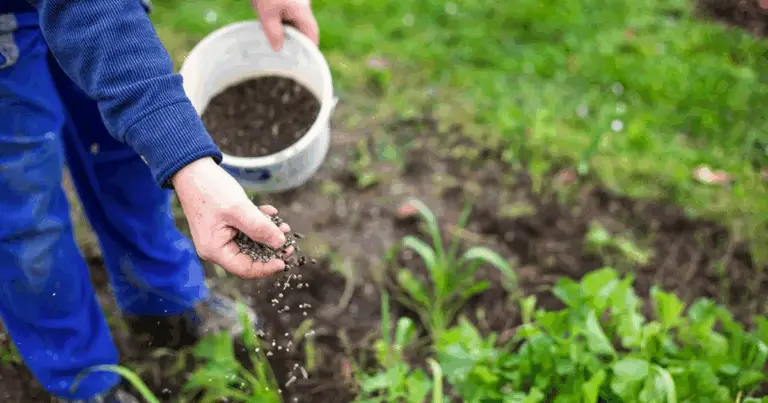 Concimi Naturali per Piante da Interno: Guida Completa e Facile da Seguire