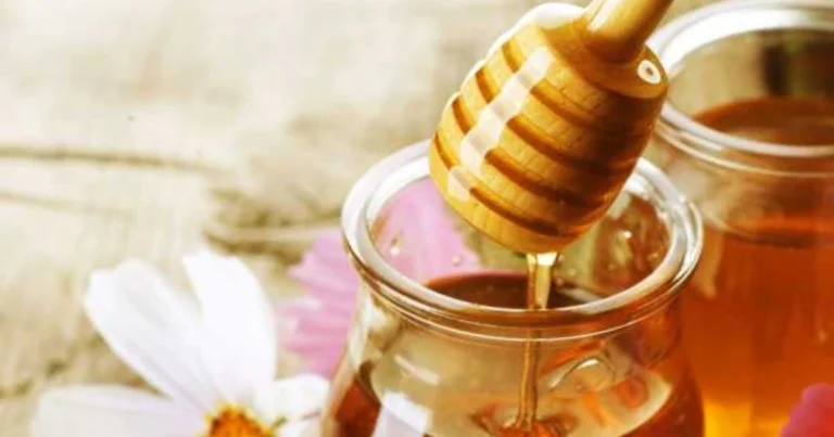 Rimedi della nonna con il miele – Tradizione, natura e benessere in un cucchiaino