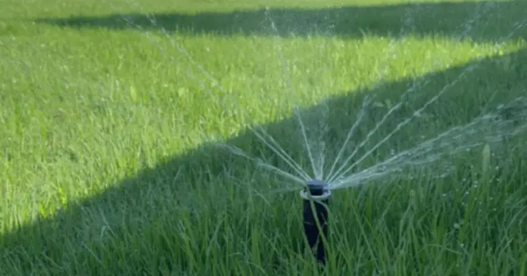 Metodo innovativo per irrigare gli alberi in profondità con un tubo in PVC