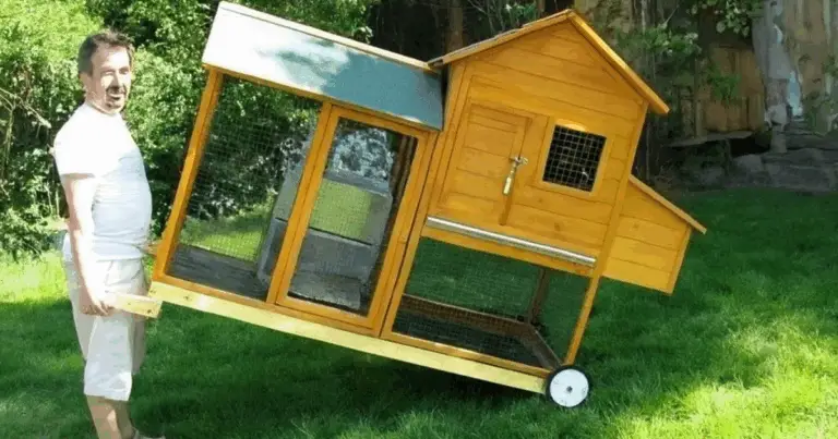 Pollaio mobile da giardino: praticità e funzionalità