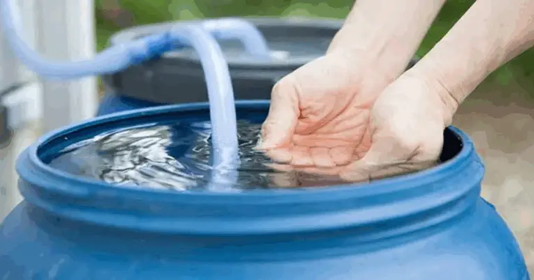 Raccolta dell’acqua piovana: guida pratica e sostenibile