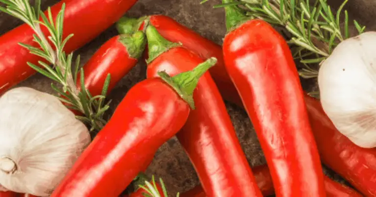 I migliori alimenti per migliorare la circolazione sanguigna