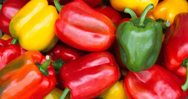 Differenze tra i Peperoni: Guida Completa ai Colori e ai Benefici