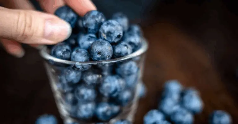 Alimenti viola per un cervello sano