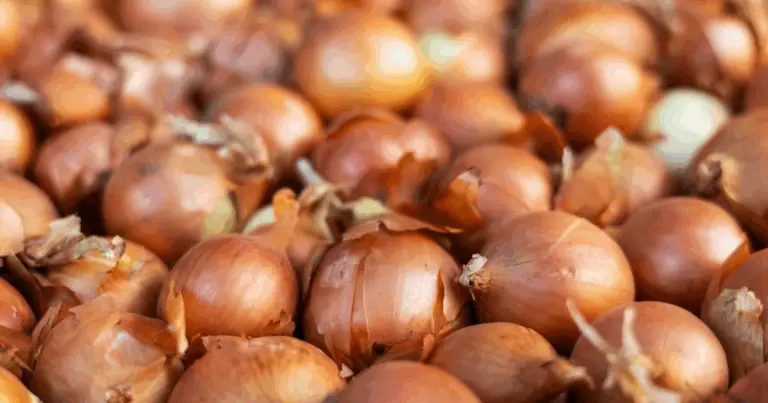 Alimenti alla griglia e benefici per la salute: guida completa