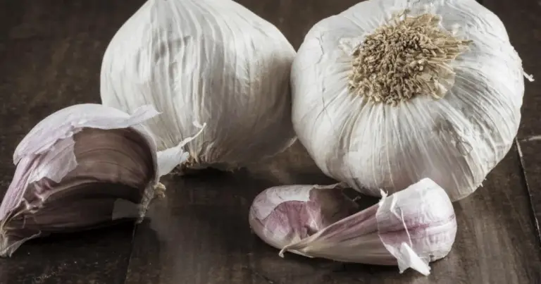 Aglio contro i parassiti: guida pratica, sicura e davvero utile