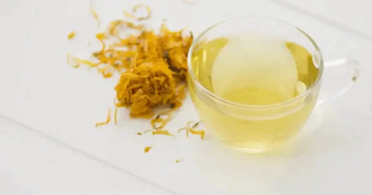 Tarassaco: benefici, usi e precauzioni per sfruttarlo al meglio