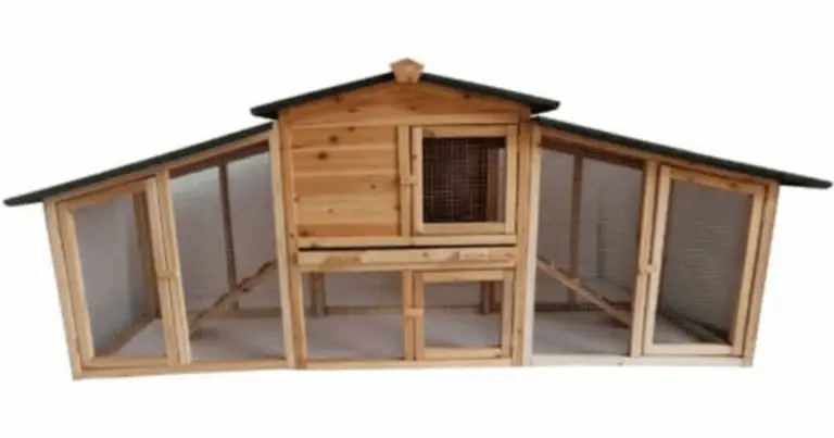 Casetta in legno per galline: guida completa a struttura e misure