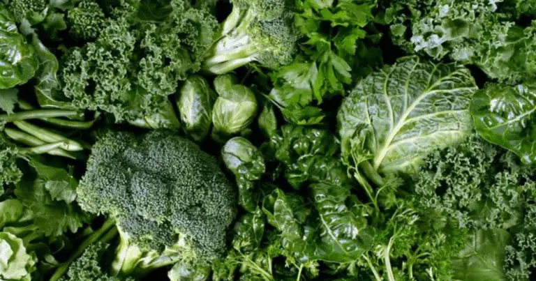 Le 10 migliori verdure a foglia per una salute ottimale