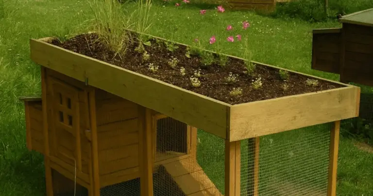 Pollaio in legno: guida completa per una scelta sostenibile e funzionale