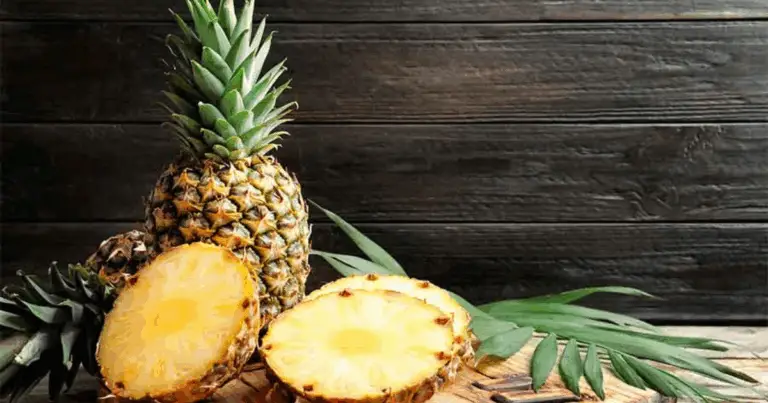 Il cibo è medicina: come alcuni alimenti sostengono organi e funzioni del corpo