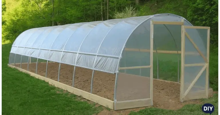 Serre da giardino: guida completa ai modelli ad arco in plastica