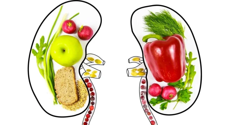 Alimenti per supportare la salute dei reni: guida completa