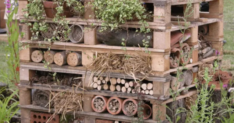 Hotel per insetti: un rifugio naturale per la biodiversità del giardino
