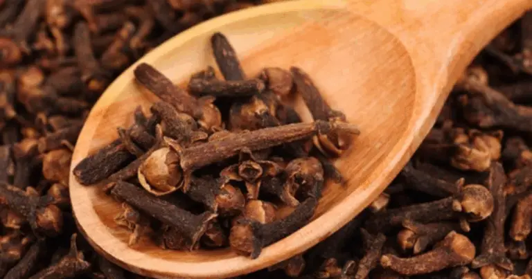 Tè ai chiodi di garofano: benefici, preparazione e consigli pratici
