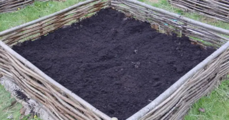 Orto lasagna: come creare aiuole fertili senza scavare