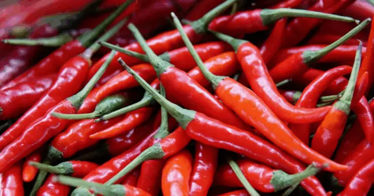 Peperoncino, gombo e pomodoro: tre alimenti semplici per grandi benefici