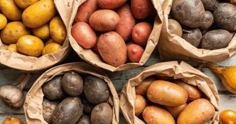 Tipi di patate e usi in cucina: guida completa