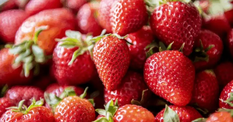 Come ottenere più fragole in modo naturale: guida completa per una coltivazione sana e produttiva