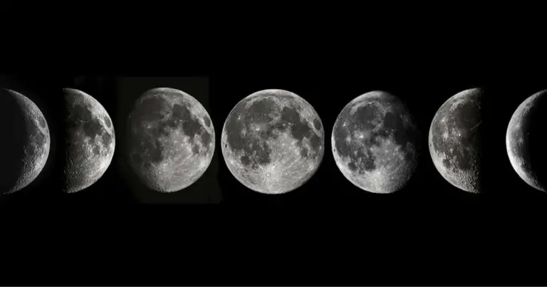 Calendario lunare per l’orto: come seminare secondo le fasi della luna