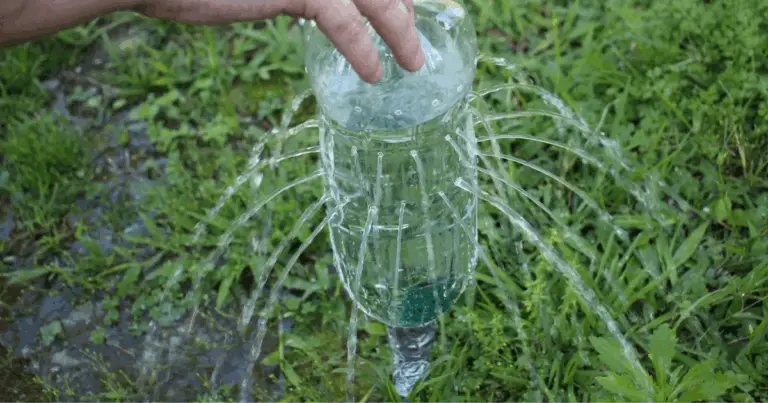 Irrigazione fai-da-te con bottiglie di plastica: soluzioni sostenibili per piante sempre idratate