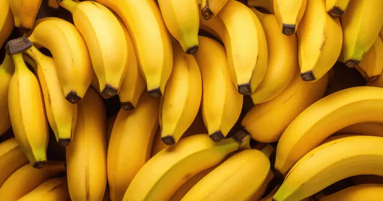 Alimenti che Rinforzano il Corpo e la Mente: Guida Completa ai Benefici Nutrizionali