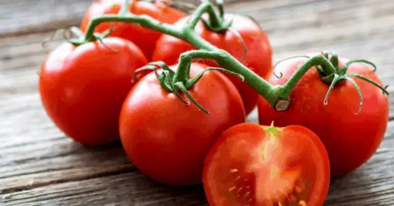 Benefici degli alimenti naturali: guida agli alimenti che promuovono salute e prevenzione