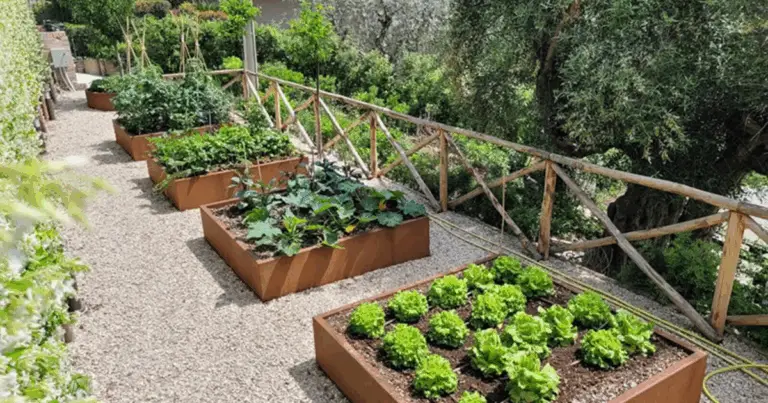 Orto rialzato con blocchi di cemento: una soluzione pratica, sostenibile e decorativa