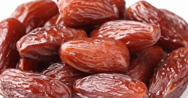 Datteri: un concentrato naturale di energia e minerali