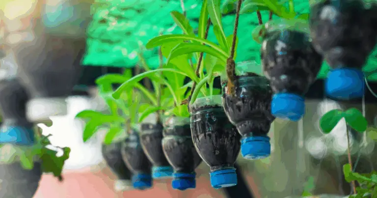 Trucchi semplici per il giardino con oggetti di uso quotidiano