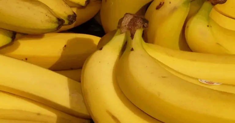 Come trasformare le bucce di banana in un fertilizzante naturale per le piante