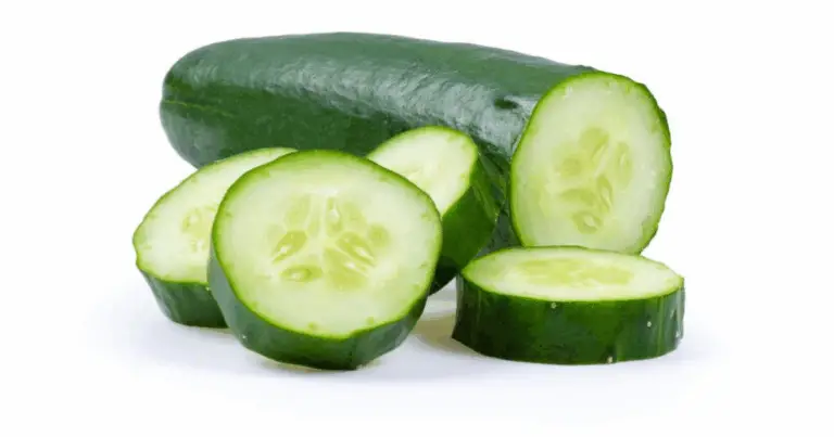 Cetriolo: il super alimento idratante che fa bene a tutto il corpo