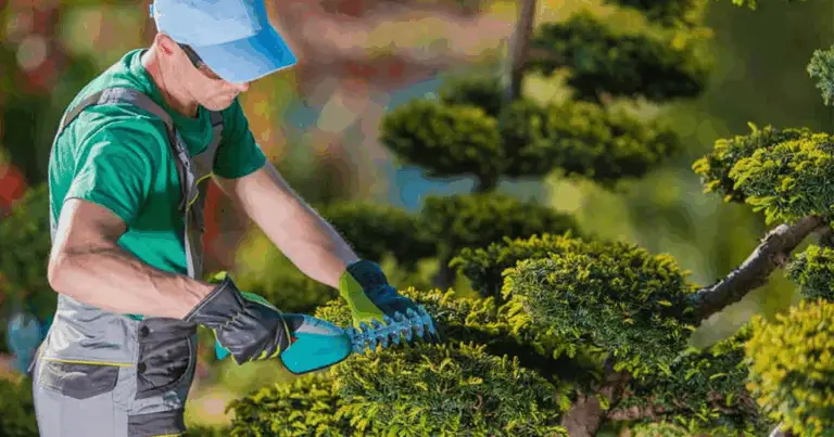Il Vero Giardinaggio: Tra Buon Senso Ecologico e Scelte Sostenibili