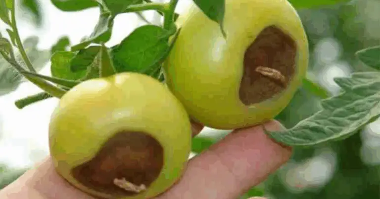 Come creare un’immagine simile modificando il design: guida pratica per contenuti originali