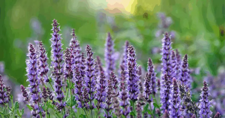 Piante Antizanzare da Coltivare in Giardino: Guida Completa per un Ambiente Naturale e Protetto